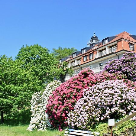 Ferienwohnung Natur Und Kunst 드레스덴 외부 사진
